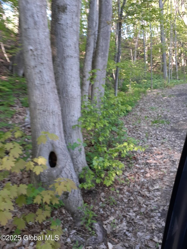 L30.2 State Route 168, Stark, NY 13339
