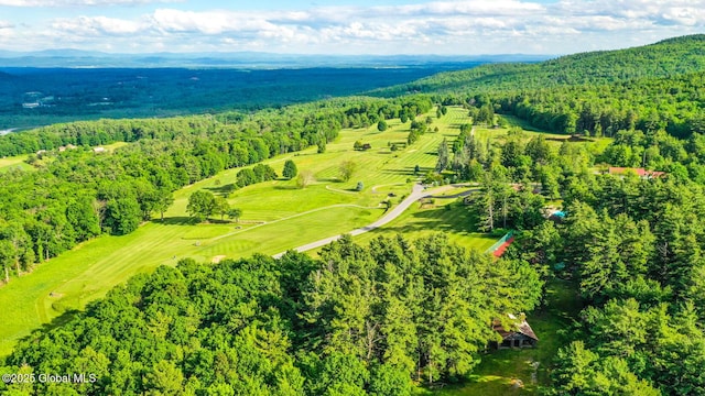 3 Top Of The World Rd, Queensbury, NY 12845 - photo 6