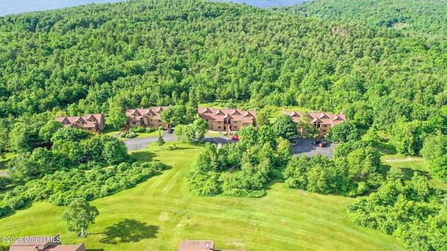 3 Top Of The World Rd, Queensbury, NY 12845 - photo 5