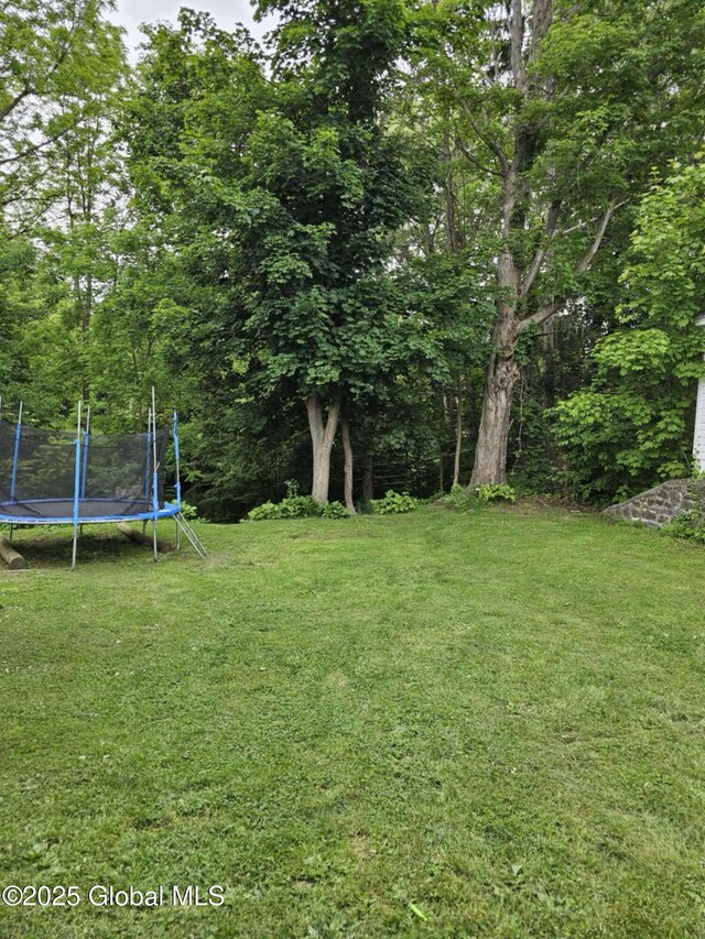 52 Phillips Ave, Canajoharie, NY 13317 - photo 6