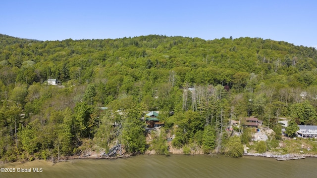 89 Captains Cv, Crown Point, NY 12928 - aerial view of a forest and a nearby body of water