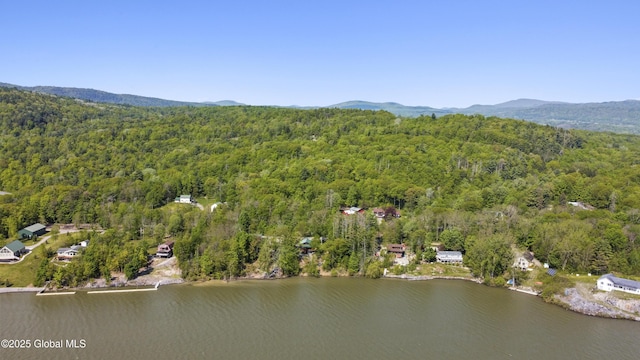 89 Captains Cv, Crown Point, NY 12928 - aerial overview of property's location with a forest and a water and mountain view