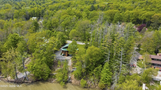 89 Captains Cv, Crown Point, NY 12928 - drone / aerial view of a forest