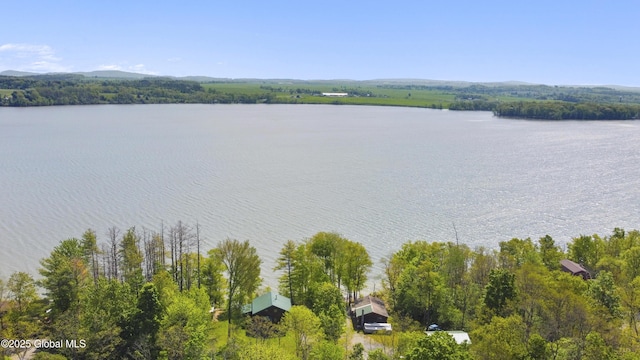 89 Captains Cv, Crown Point, NY 12928 - water view
