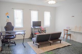 office with plenty of natural light