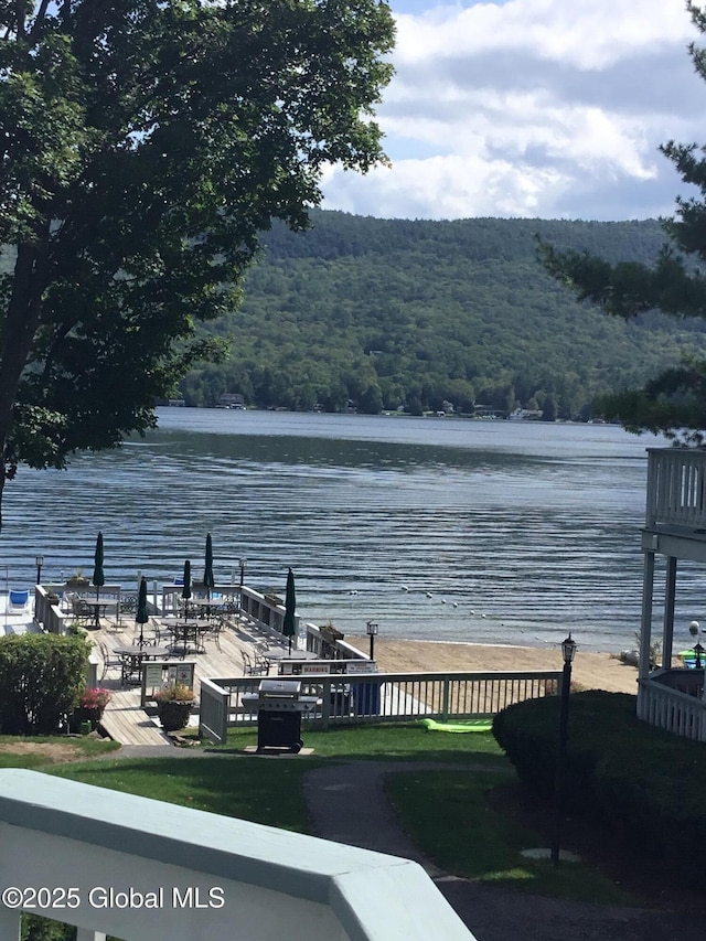 property view of water with a wooded view