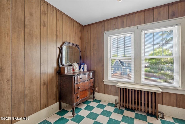 5 Hillview Ave, East Greenbush, NY 12144 - detailed view of tile patterned floors, radiator heating unit, and wooden walls