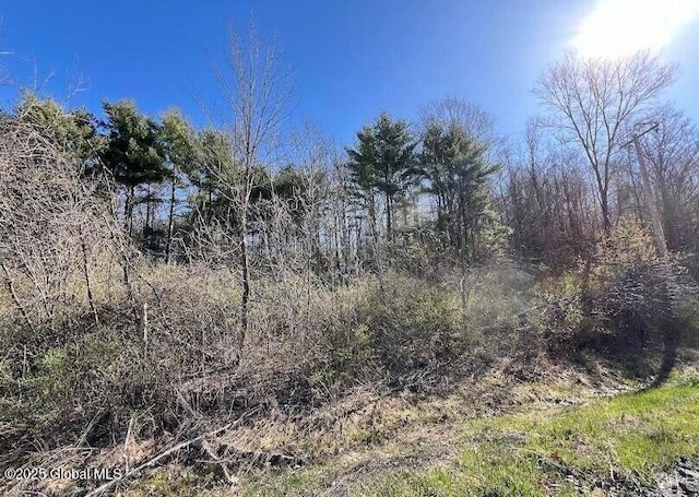L9 Mcneil Rd, Argyle, NY 12809