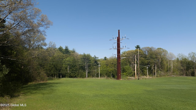 188 Fort Edward Rd, Moreau, NY 12828 - view of grassy yard with a view of trees