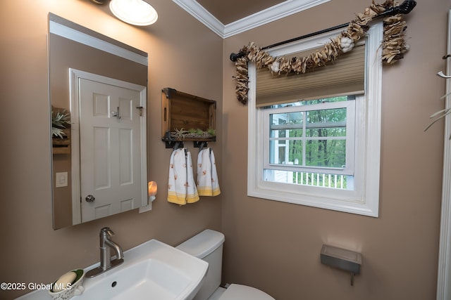 bathroom featuring a sink, toilet, and crown molding