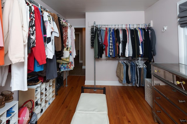 walk in closet featuring wood finished floors