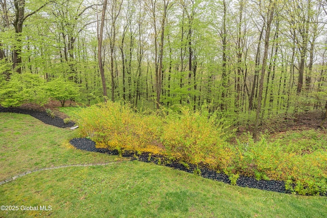 view of grassy yard