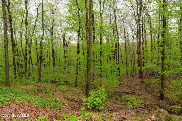 view of nature