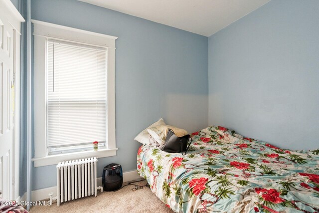 1108 Cutler St, Schenectady, NY 12303 - carpeted bedroom with radiator and baseboards