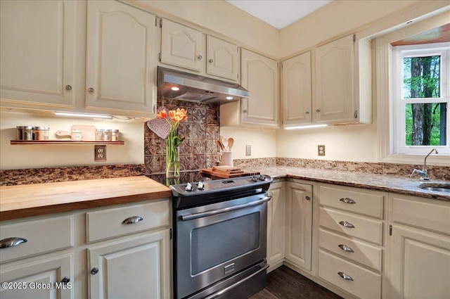 kitchen featuring under cabinet range hood, butcher block counters, a sink, electric stove, and tasteful backsplash
