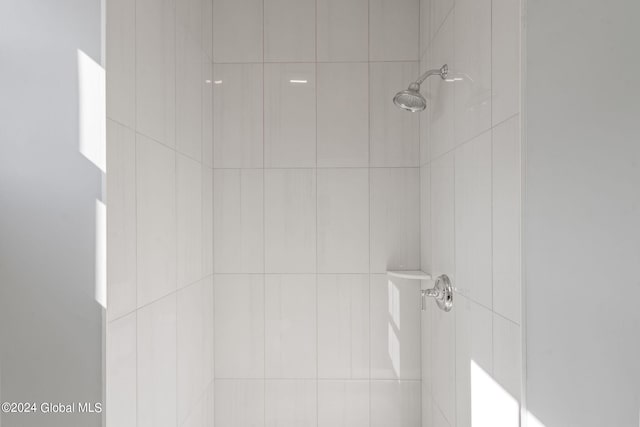 bathroom view of a tile shower