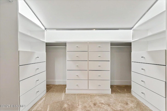 walk in closet featuring light colored carpet
