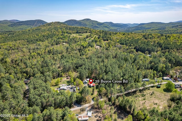 28 Buyce Cross, Thurman, NY 12810 - drone / aerial view of a heavily wooded area and a mountain backdrop