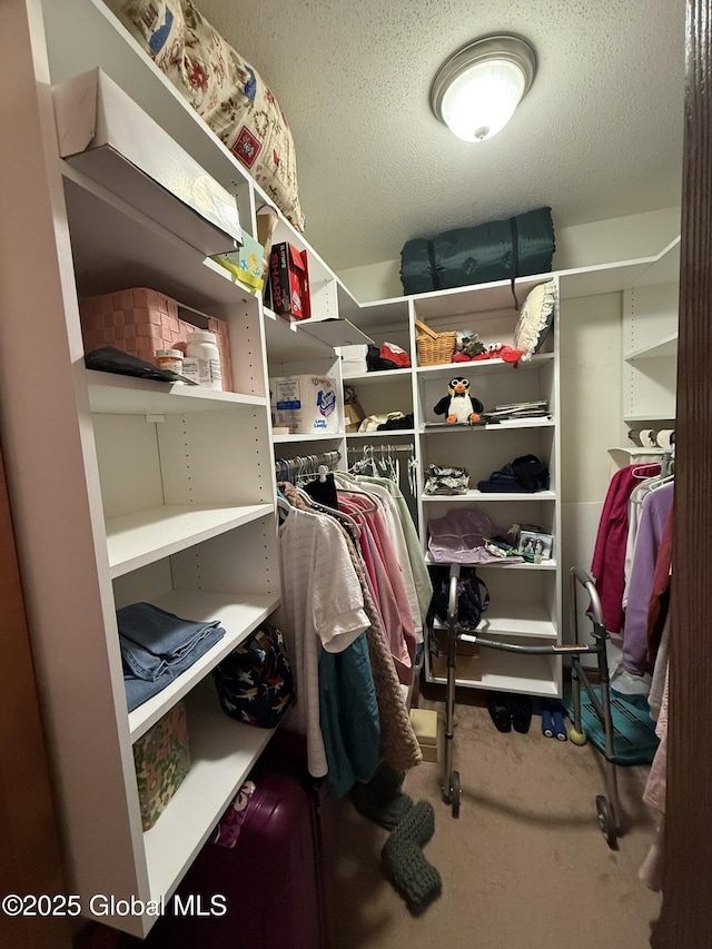 spacious closet with carpet floors