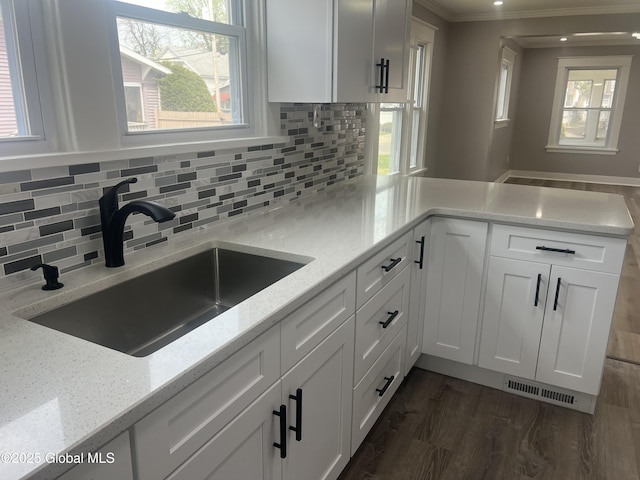 kitchen with a sink, white cabinets, crown molding, and tasteful backsplash