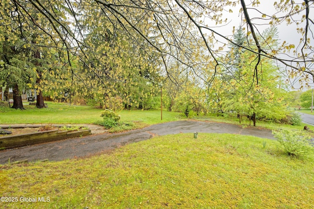 view of grassy yard
