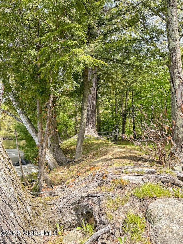 233 Cleverdale Rd, Queensbury, NY 12804 - view of undeveloped land