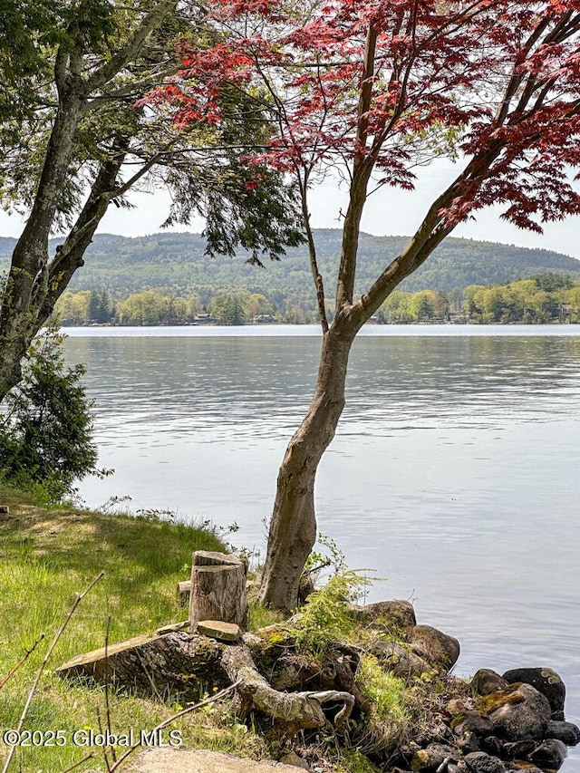 233 Cleverdale Rd, Queensbury, NY 12804 - water view with a forest