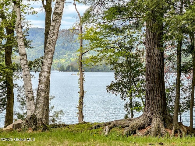 233 Cleverdale Rd, Queensbury, NY 12804 - water view featuring a forest