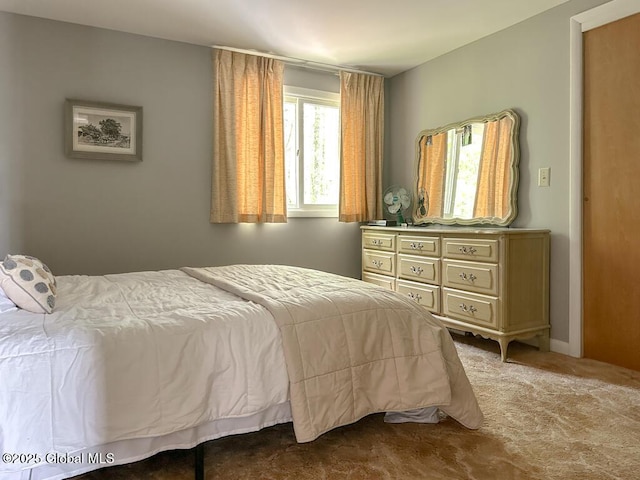 233 Cleverdale Rd, Queensbury, NY 12804 - view of carpeted bedroom