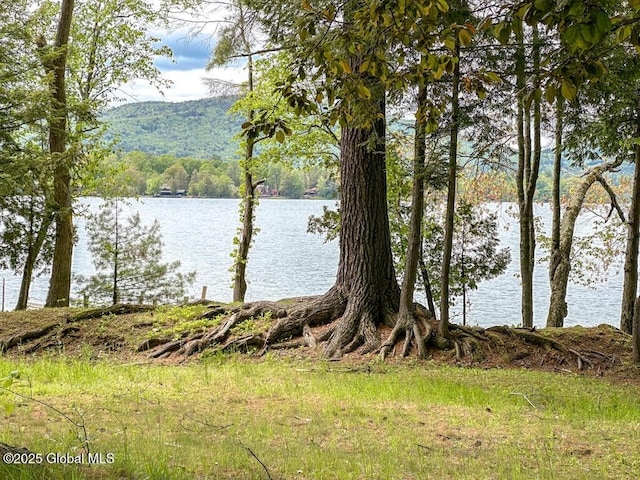 233 Cleverdale Rd, Queensbury, NY 12804 - water view featuring a forest