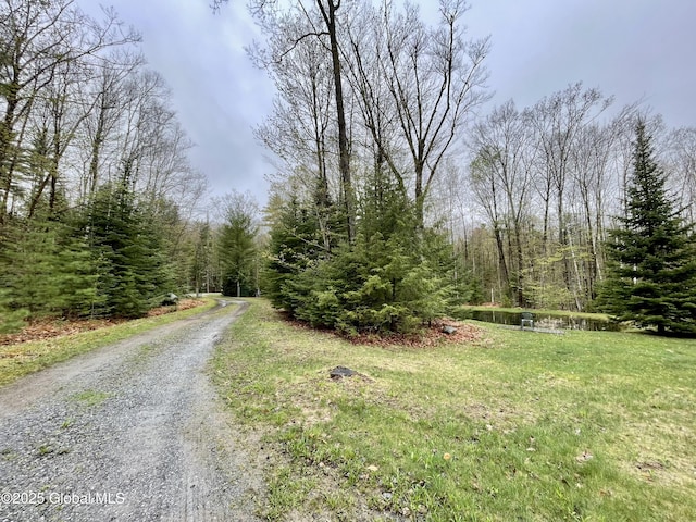 20 Smith Rd, Thurman, NY 12810