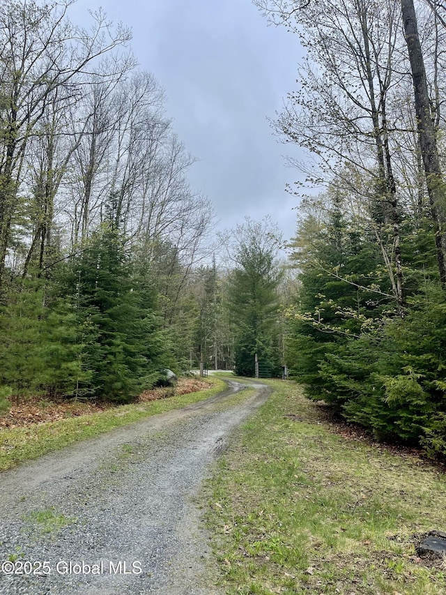 20 Smith Rd, Thurman, NY 12810