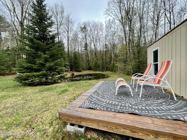 20 Smith Rd, Thurman, NY 12810