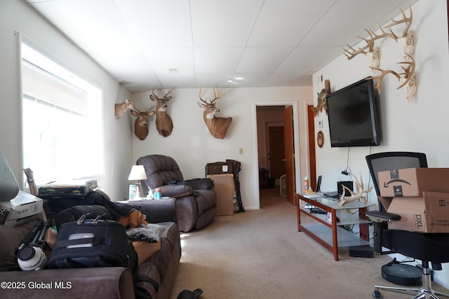 31 Thomas Ave, Hudson Falls, NY 12839 - living room featuring carpet floors and a drop ceiling