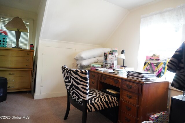 31 Thomas Ave, Hudson Falls, NY 12839 - office featuring carpet flooring and vaulted ceiling