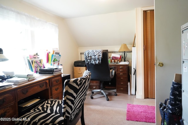 31 Thomas Ave, Hudson Falls, NY 12839 - office space featuring healthy amount of natural light, lofted ceiling, and light carpet