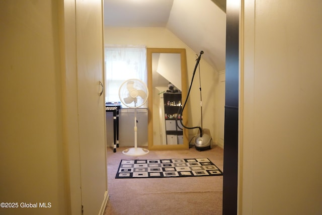 31 Thomas Ave, Hudson Falls, NY 12839 - hallway featuring carpet and lofted ceiling