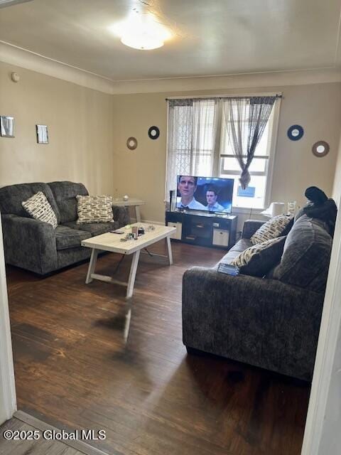11 Lefferts St, Amsterdam, NY 12010 - living room with ornamental molding and wood finished floors