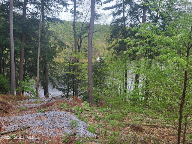 12 N Ave, Lake Luzerne, NY 12846