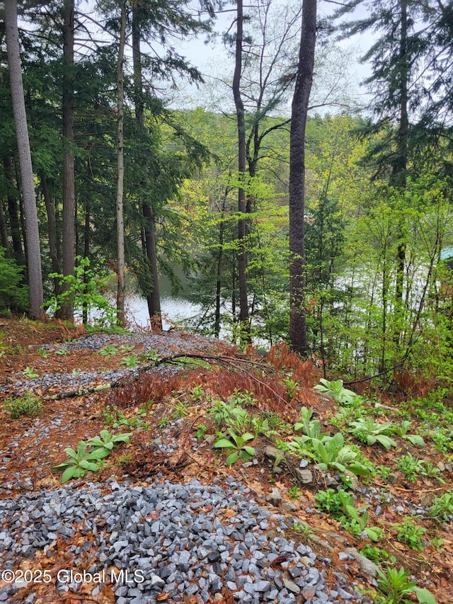 12 N Ave, Lake Luzerne, NY 12846