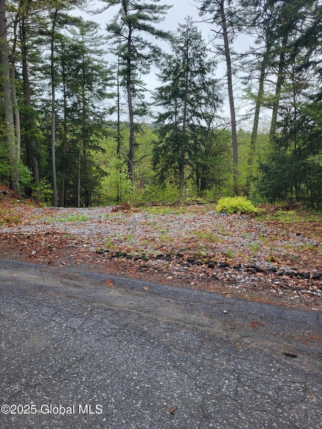 12 N Ave, Lake Luzerne, NY 12846