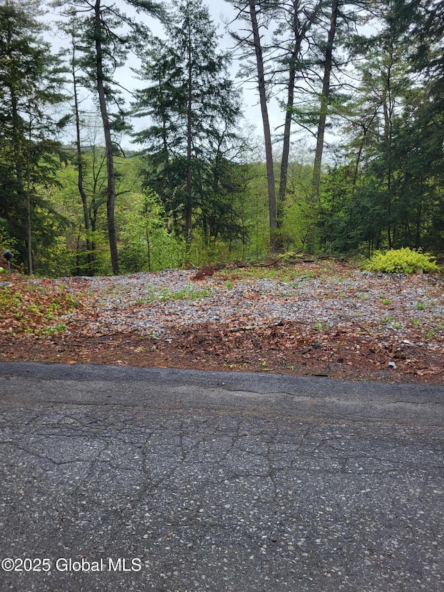 12 N Ave, Lake Luzerne, NY 12846