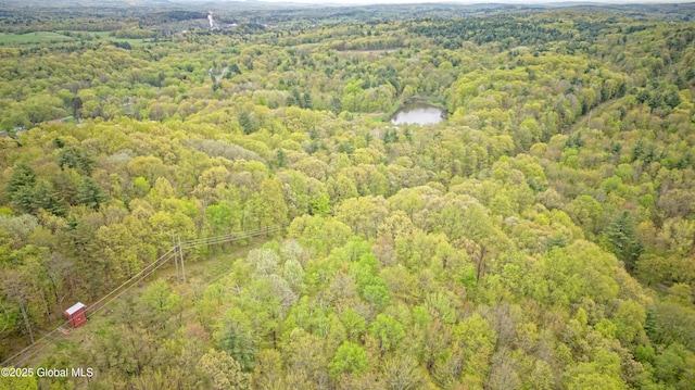 17-19 Smith Ct, North Greenbush, NY 12198 - aerial view of a heavily wooded area