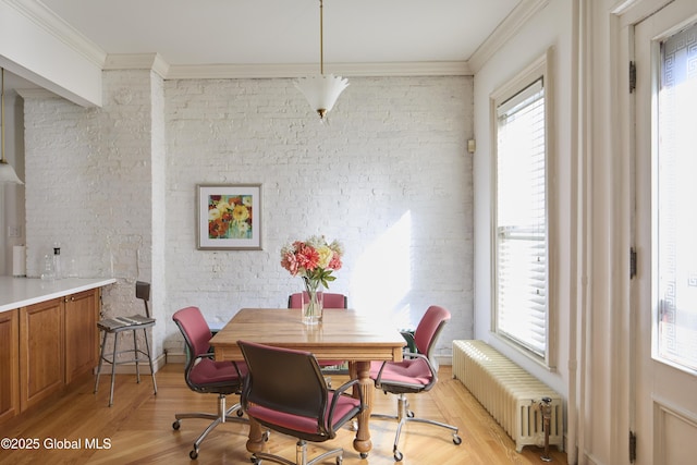 dining room featuring radiator, crown molding, a wealth of natural light, and light wood-style floors