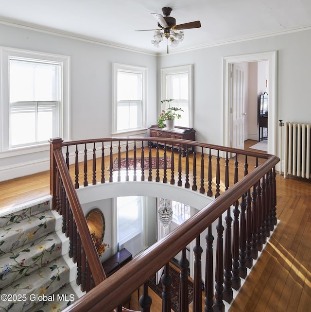 staircase featuring crown molding, ceiling fan, hardwood / wood-style floors, and radiator heating unit