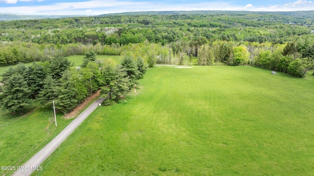 L31 Duanesburg Rd, Duanesburg, NY 12053