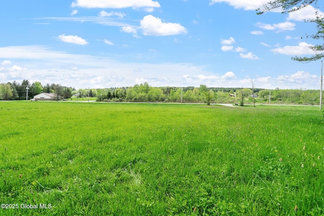 L31 Duanesburg Rd, Duanesburg, NY 12053