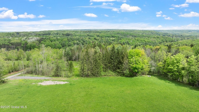 L31 Duanesburg Rd, Duanesburg, NY 12053