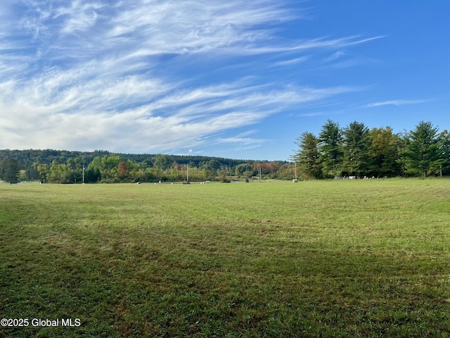 L31 Duanesburg Rd, Duanesburg, NY 12053