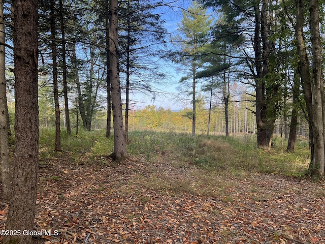 L31 Duanesburg Rd, Duanesburg, NY 12053